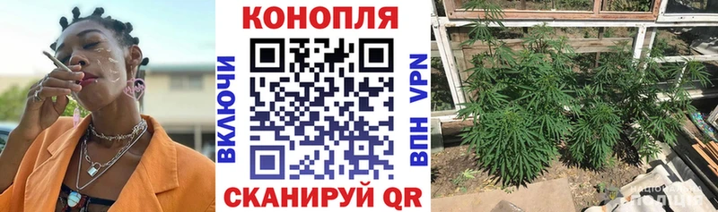 Где продают наркотики Мончегорск COCAIN  MDMA  Меф  Alpha PVP  ГАШИШ  Канабис 