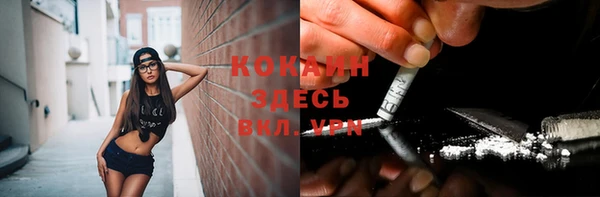 мяу мяу мука Корсаков