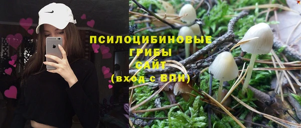 мяу мяу мука Корсаков