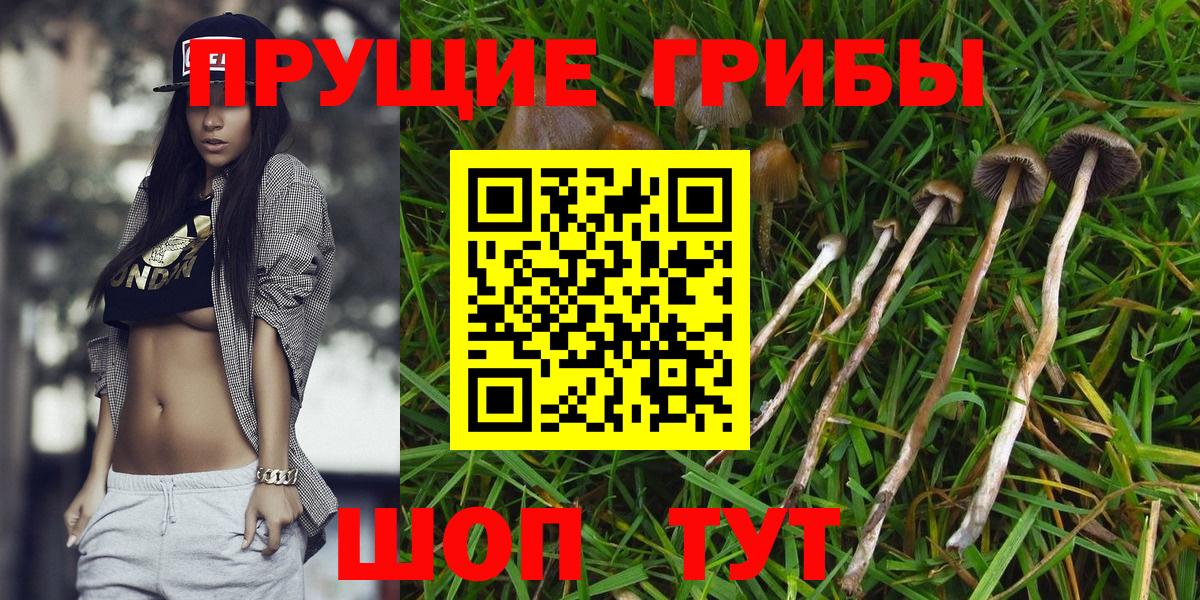 Гашиш  Cocaine  Мончегорск  Экстази  Вход с VPN  Меф МЯУ МЯУ кристаллы  Конопля 